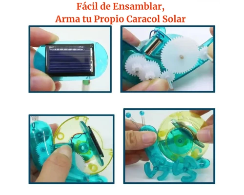 Caracol Robot Solar - foto 4