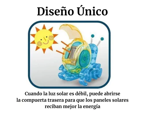 Caracol Robot Solar - foto 5