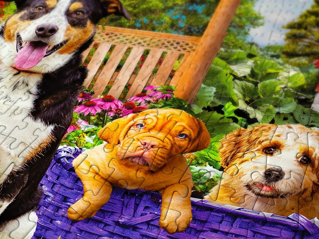 Puppy Patch - 1000 - foto 3